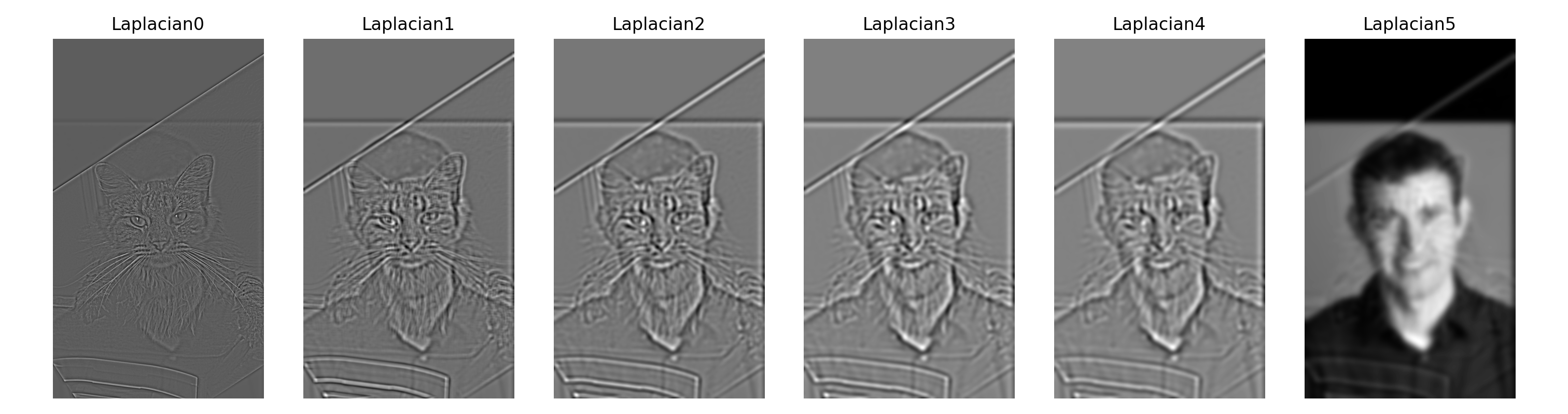 Laplacian Cat Man