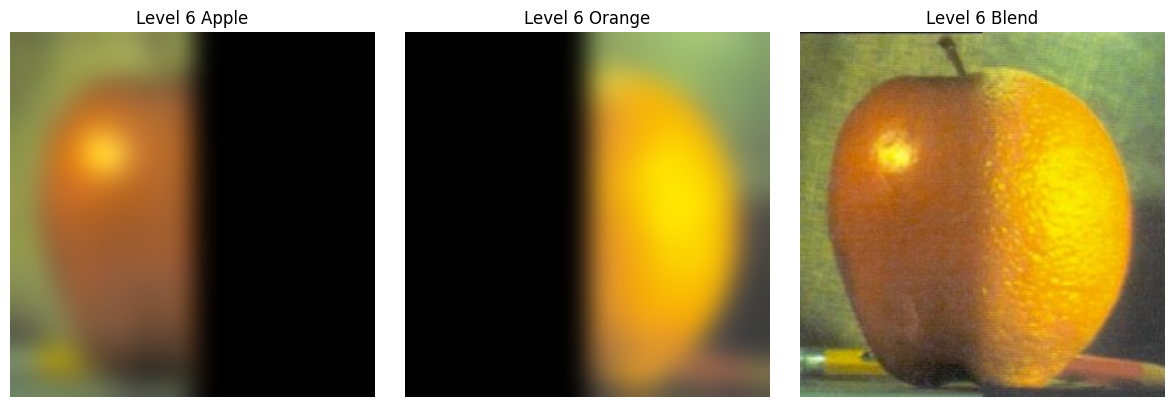 Level 6