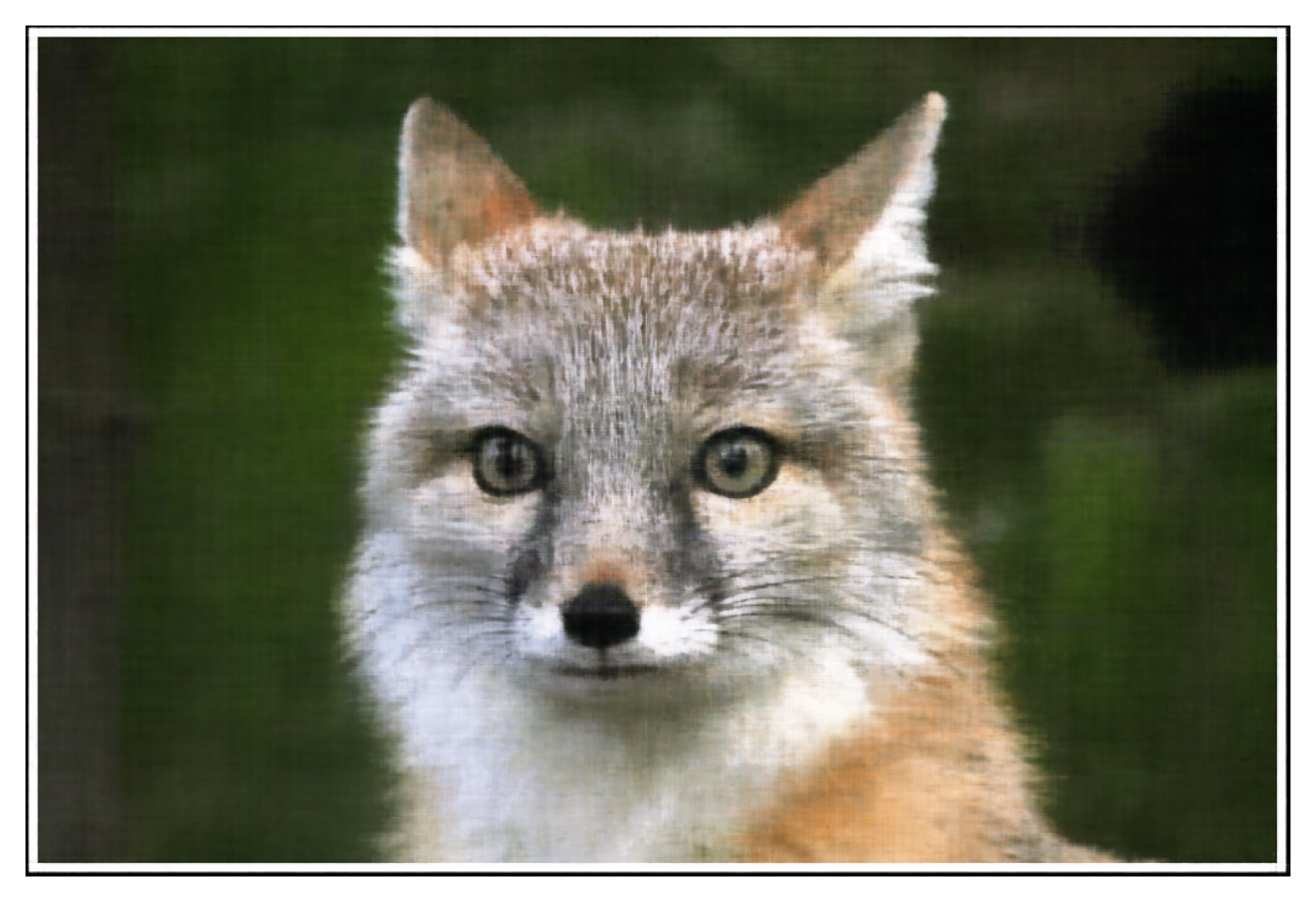 Fox Epoch 2999