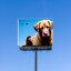 Billboard inpainted