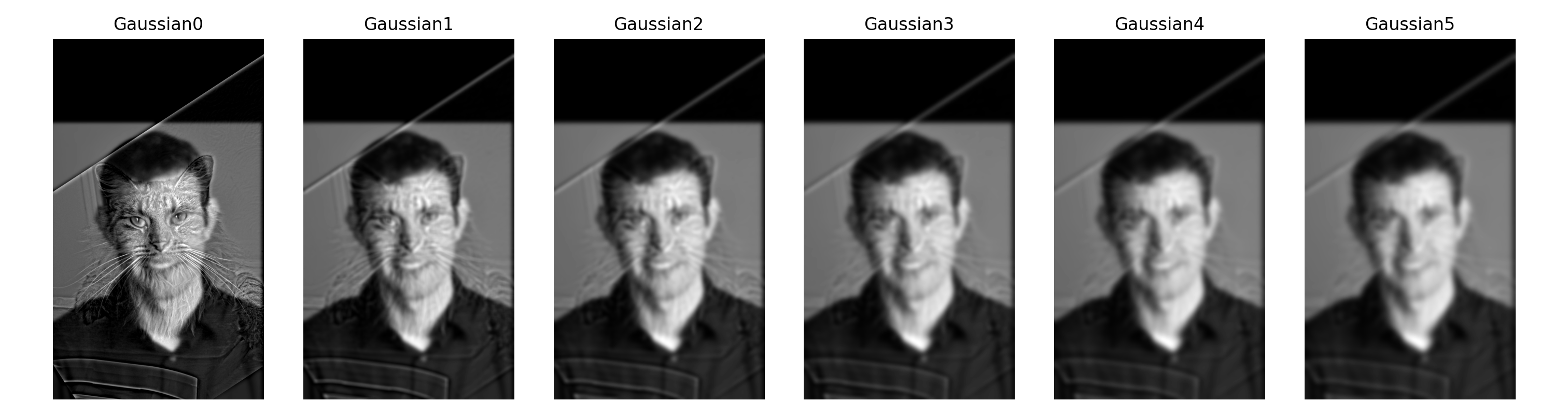 Gaussian Cat Man