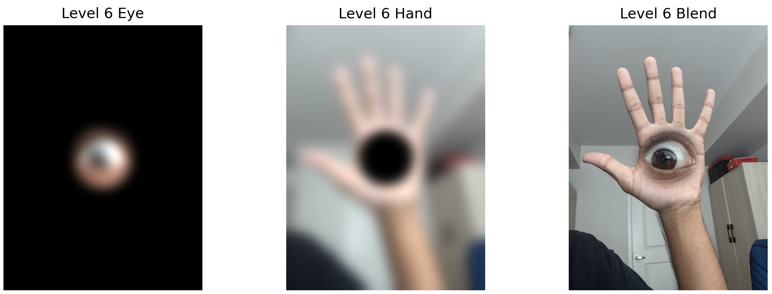 Level 6