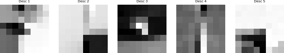 Feature Descriptors Image 1