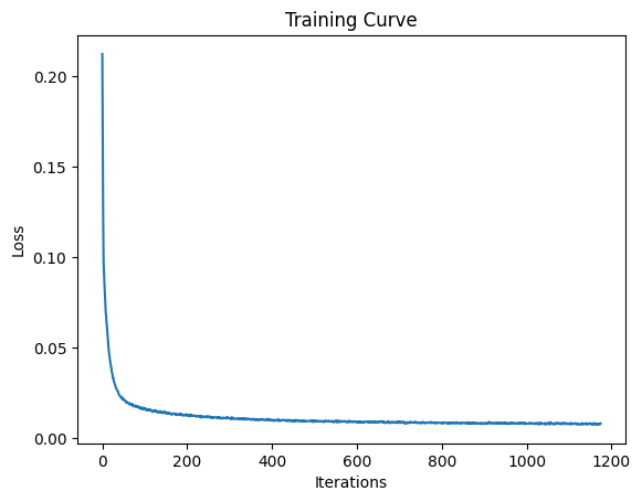 Training loss curve